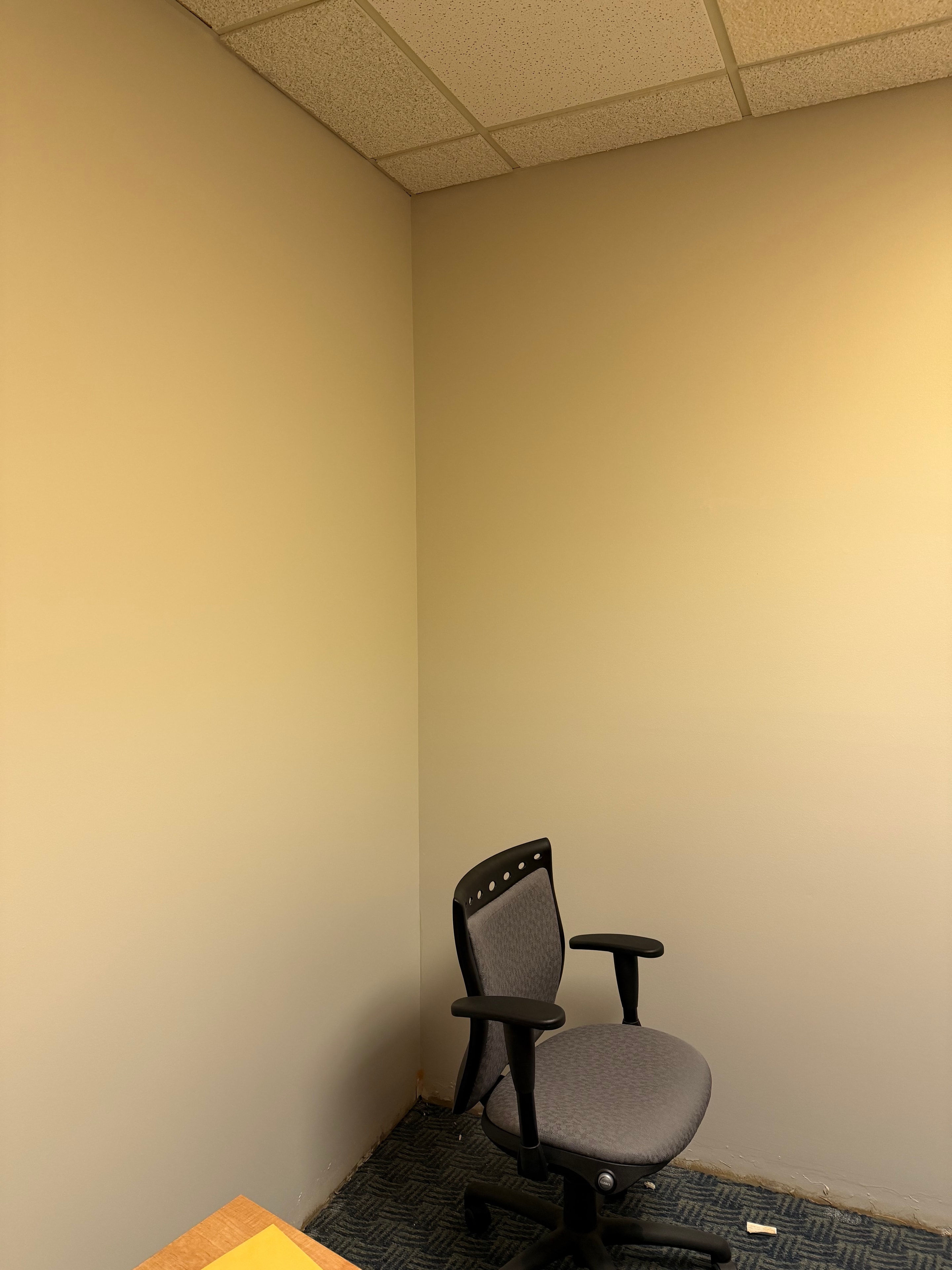 Office Interior Repaint